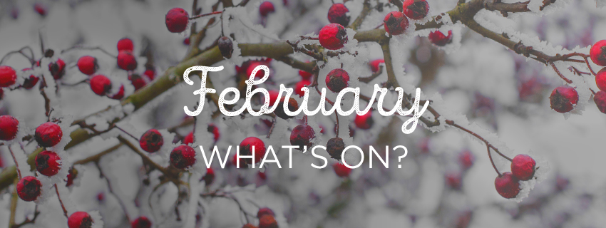 A graphic that says "February What's On?"